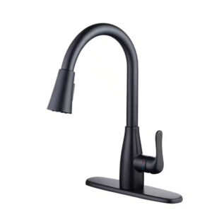 Glacier Bay McKenna Single-Handle Pull-Down Sprayer Kitchen Faucet