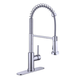Glacier Bay Paulina Single-Handle Spring Neck Pull-Down Sprayer Kitchen Faucet