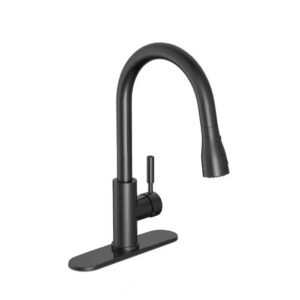 Garrick Single-Handle Pull-Down Sprayer Kitchen Faucet in Matte Black