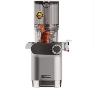 200 W Cold Press Slow Stainless Steel Masticating Juicer