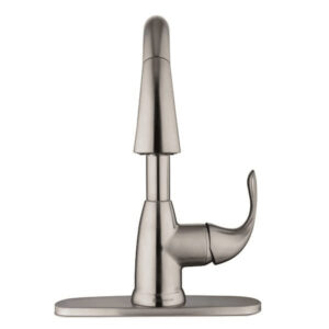 Dylan Single-Handle Pull-Down Sprayer Kitchen Faucet in Stainless Steel