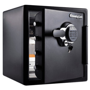 SentrySafe Fireproof Safe