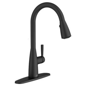 American Standard Fairbury 2S Single-Handle Pull-Down Sprayer Kitchen Faucet in