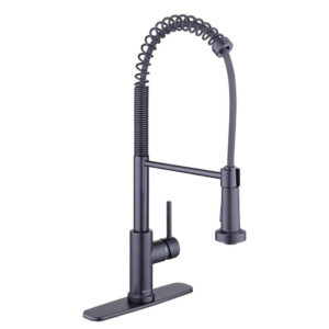 Glacier Bay Paulina Single Handle Spring Neck Pull Down Sprayer Kitchen Faucet