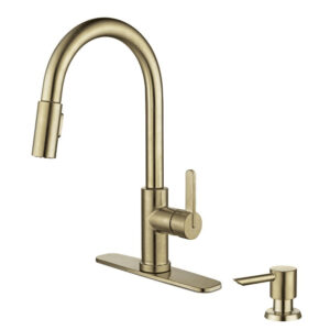 Glacier Bay Paulina Kitchen Faucet